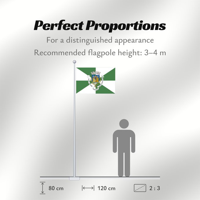 Flag Proportions: Porto