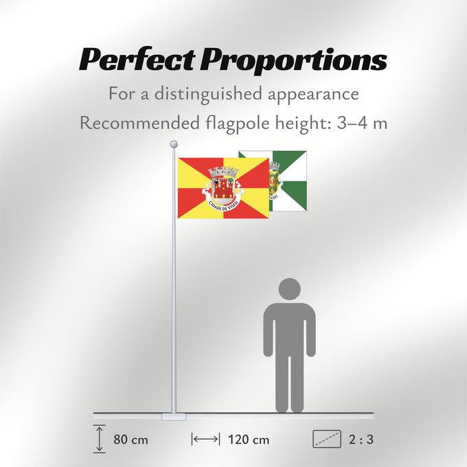 Flag Proportions: Viseu