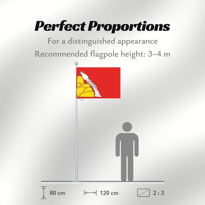 Flag Proportions: Voronezh Oblast Voronezh Oblast of Russia Oblast de Voronej Óblast de Vorónezh Oblast Woronesch Флаг Воронежской области Россия Прапор Воронезької області Росія