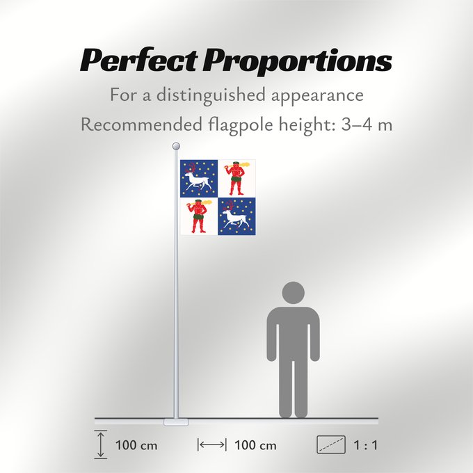 Flag Proportions: Norrbottens län vapenflagga Norrbotten County in Sweden Norrbotten Norrbottens läns vapenflagga