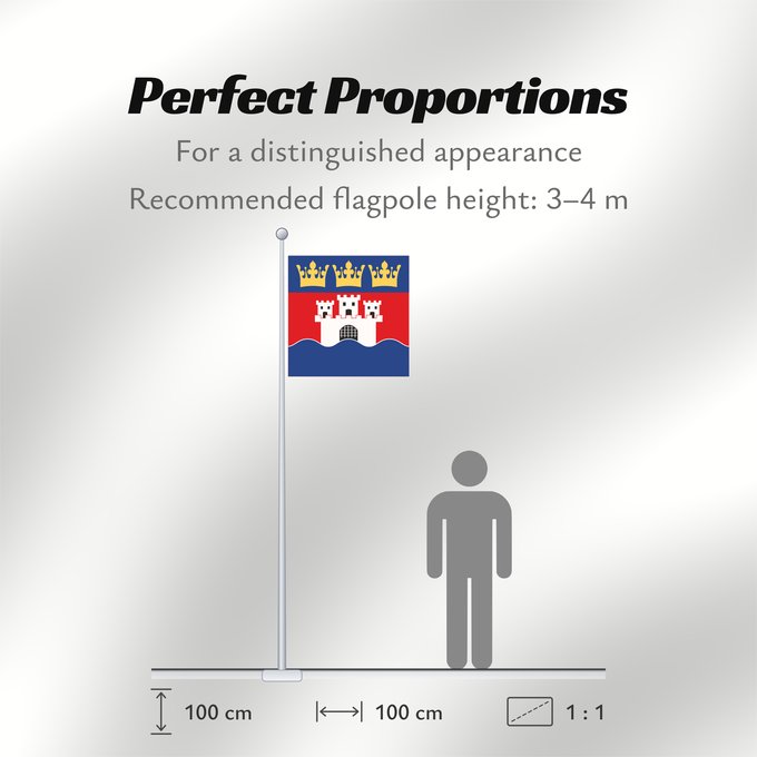 Flag Proportions: Jönköpings län vapenflagga	Jönköping County in Sweden	Jönköping	Jönköpings läns vapenflagga