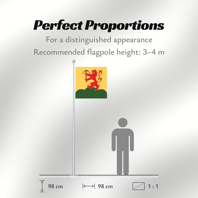 Flag Proportions: Kronobergs län vapenflagga Kronoberg County in Sweden Kronoberg Provincia de Kronoberg Kronobergs läns vapenflagga