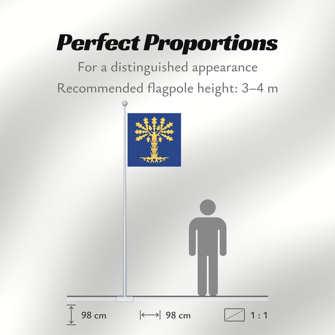 Flag Proportions: Blekinge län vapenflagga	See about CoA blazoning [Expand]	Blekinge	Blekinge läns vapenflagga