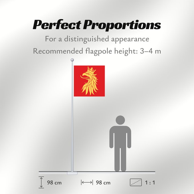 Flag Proportions: Skåne län
