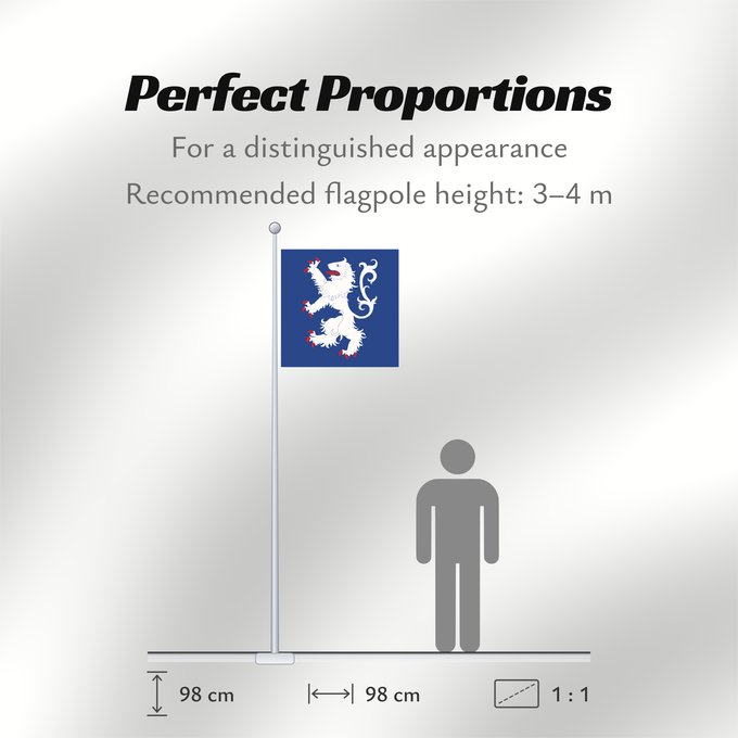 Flag Proportions: Hallands län vapenflagga Halland County in Sweden Halland Hallands läns vapenflagga