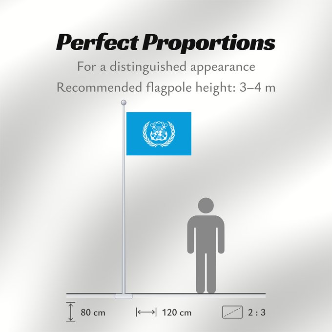 Flag Proportions: International Maritime Organization