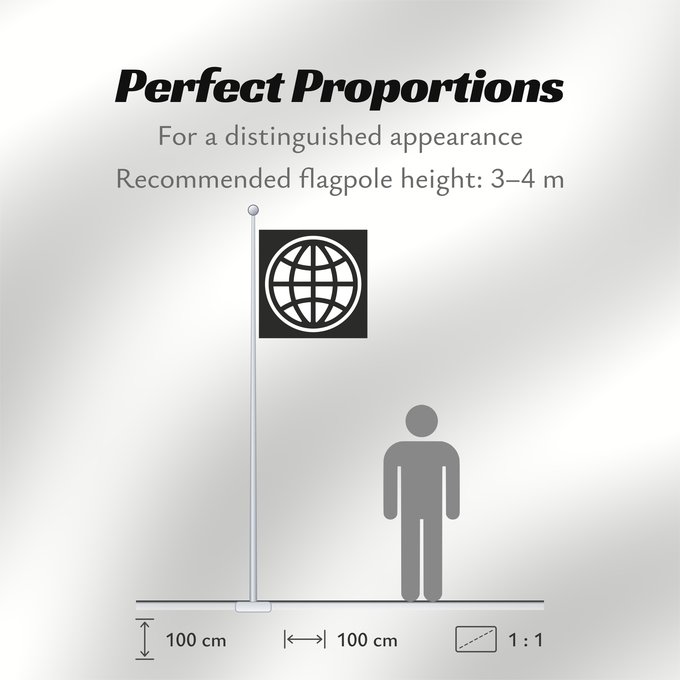 Flag Proportions: The World Bank Group