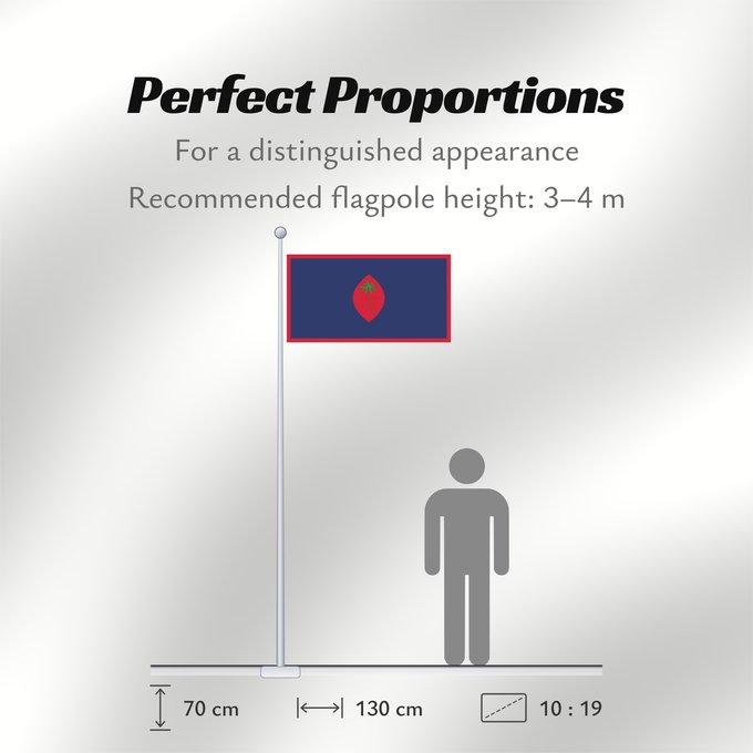 Flag Proportions: Guam