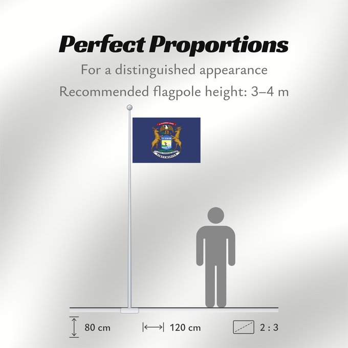 Flag Proportions: Michigan