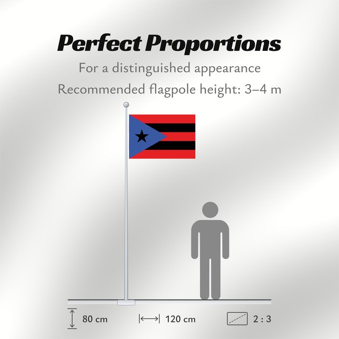 Flag Proportions: Puerto Rico