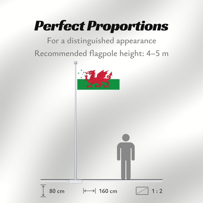 Flag Proportions: Australian Welsh heritage