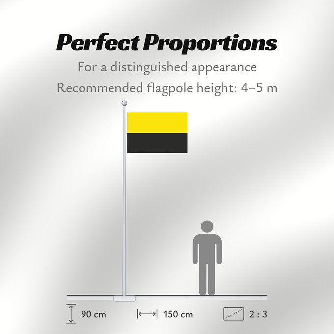 Flag Proportions: Andenne Belgian municipality Andenne Banniel Andenne