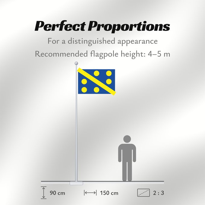 Flag Proportions: Assesse	Municipal flag of Assesse, Belgium
