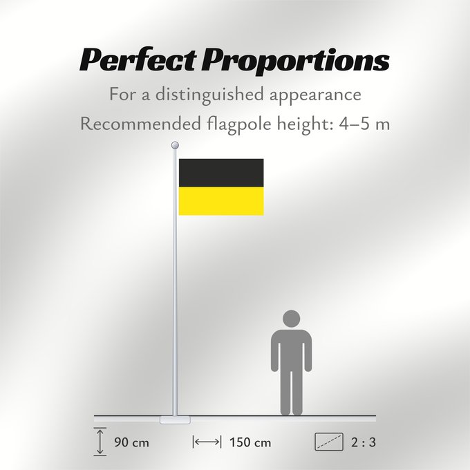 Flag Proportions: Namur Namur, Belgium