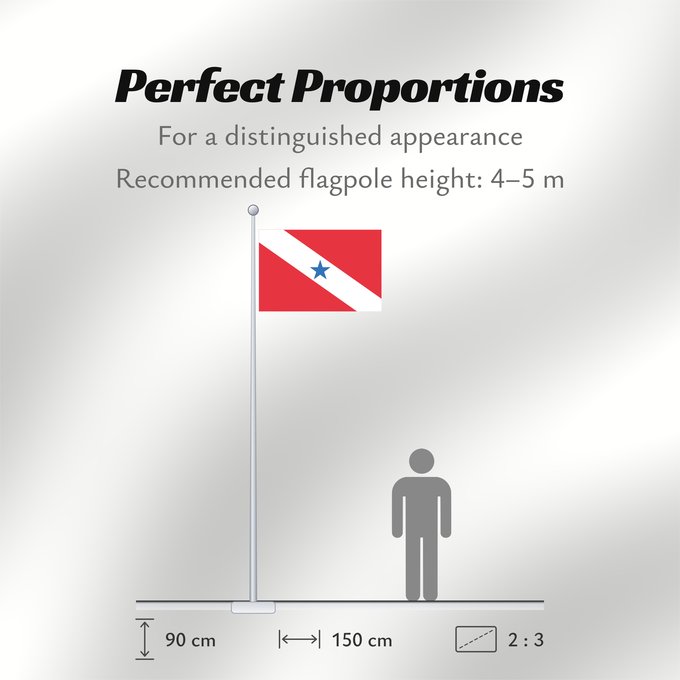 Flag Proportions: Pará
