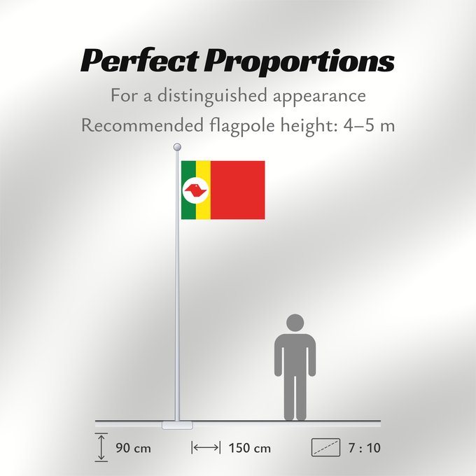 Flag Proportions: Barretos SaoPaulo Brasil Barretos Município de Barretos no Estado de São Paulo