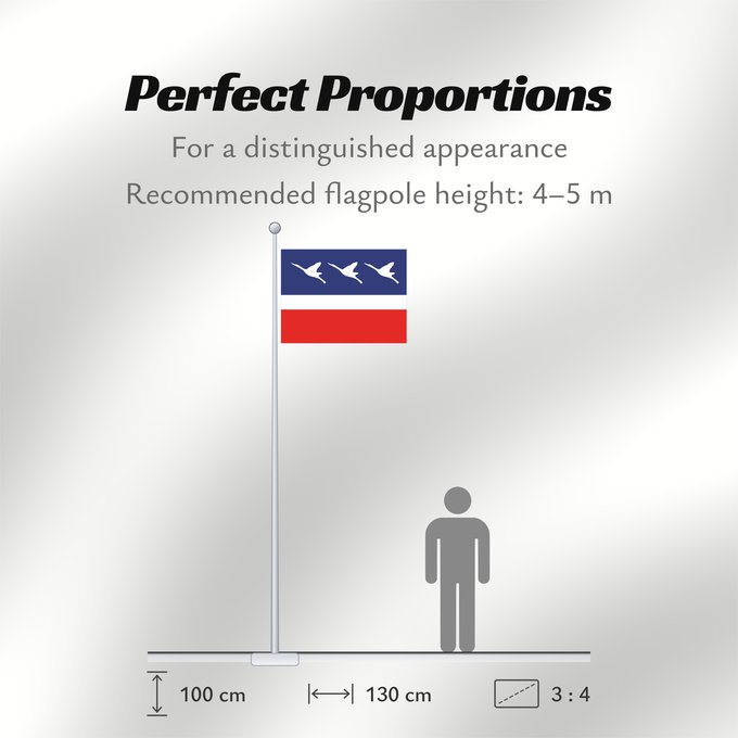 Flag Proportions: Guaratingueta SaoPaulo Brasil 2	Sao Paulo s city Guaratinguetá, Brazil	Guaratinguetá (2)	Município de Guaratinguetá no Estado de São Paulo