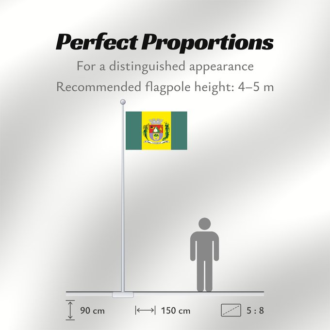 Flag Proportions: Lagamar MinasGerais Brasil	Lagamar	Município de Lagamar no Estado de Minas Gerais