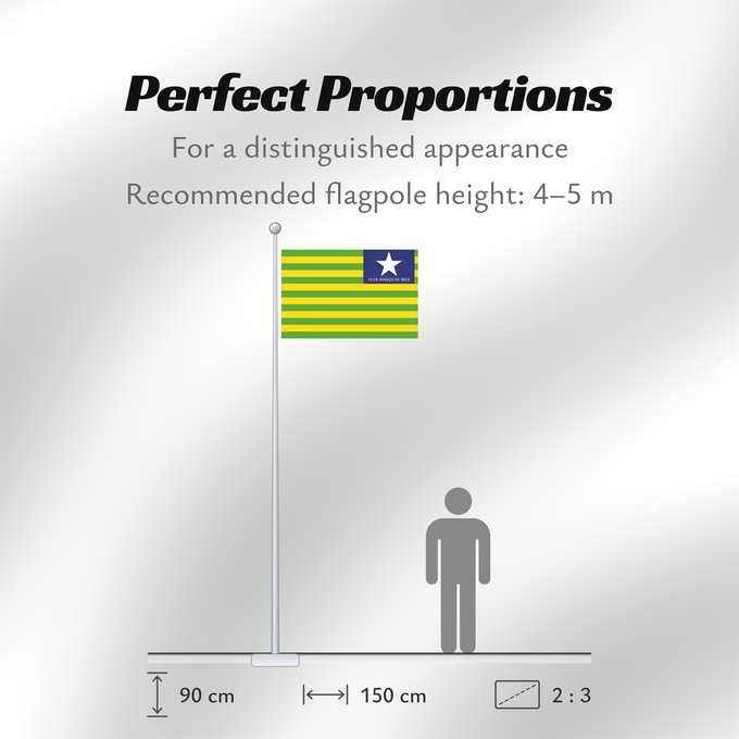 Flag Proportions: Piauí  verso	Verse of the flag of the state of Piaui designed by me in accordance with the state law of 1,050	Piauí (envers)	Piauí (reverso)	Piauí (Rückseite)	Versetto di bandiera dello stato di Piauí progettato da me in conformità con la legge n	Verso da
