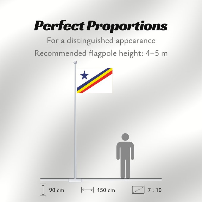 Flag Proportions: Rondonia guajaramirim	Municipality Guajará-Mirim of the State of Rondônia	Guajará-Mirim	Município de Guajará-Mirim no Estado de Rondônia