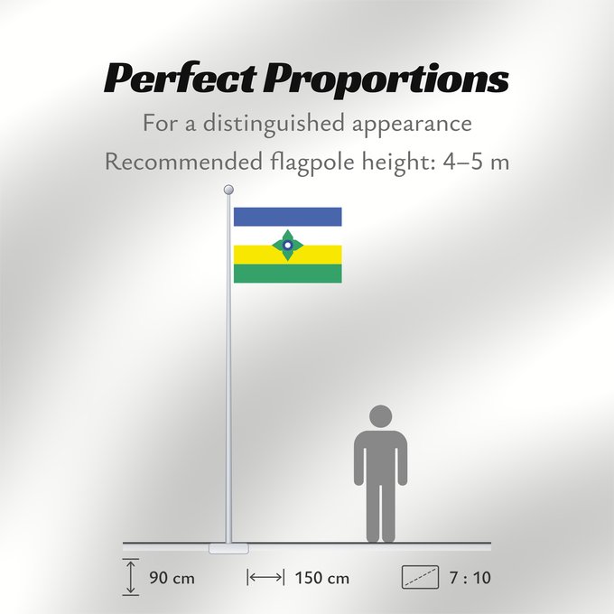 Flag Proportions: Rondonia vilhena Municipality of Vilhena in the State of Rondônia Vilhena