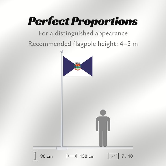 Flag Proportions: São Gonçalo São Gonçalo, RJ, Brazil