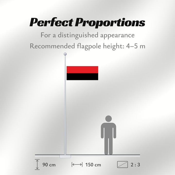 Flag Proportions: Partit Llibertat Bielorus	Belarusian Freedom Party	Parti de la Liberté de Biélorussie	Partido de la Libertad de Bielorrusia	Freiheitspartei von Belarus	Partito della Libertà bielorusso	Partit de la Llibertat Bielorus
