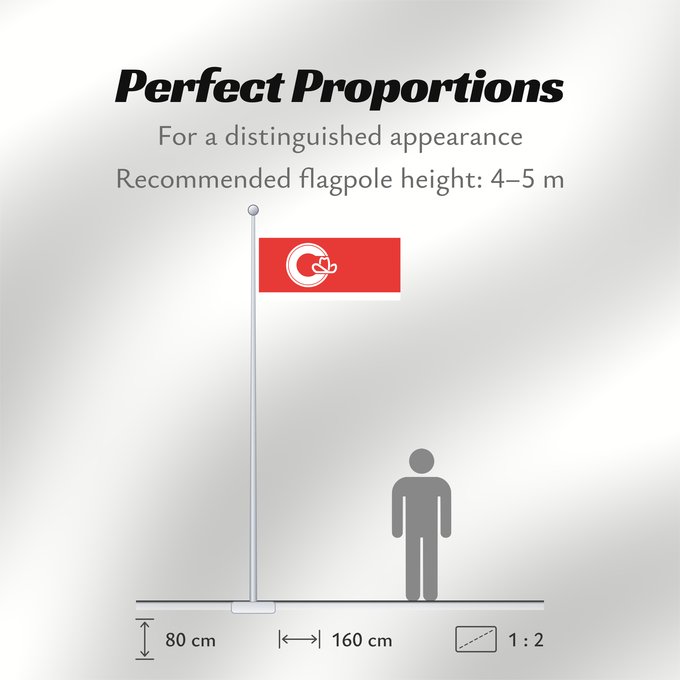 Flag Proportions: Calgary, Alberta Calgary