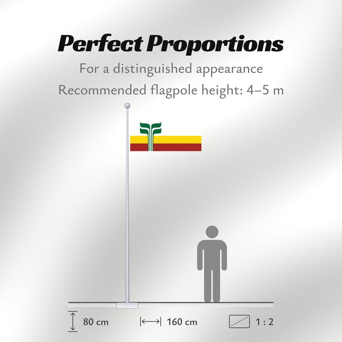 Flag Proportions: Franco-Manitobains