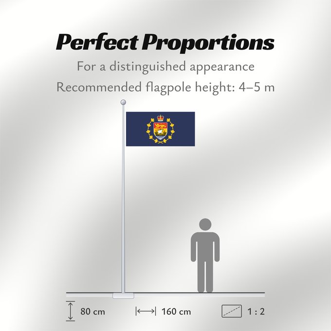 Flag Proportions: Lieutenant-Governor of New Brunswick Lieutenant-gouverneur du Nouveau-Brunswick Teniente Gobernador de Nuevo Brunswick Lieutenant-Gouverneur von New Brunswick Luogotenente Governatore del Nuovo Brunswick