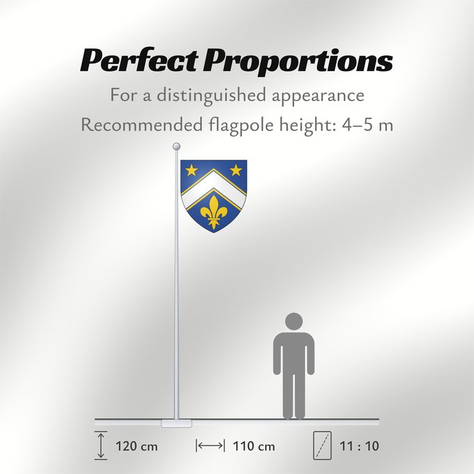 Flag Proportions: Martial Asselin Arms