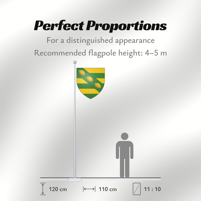 Flag Proportions: Norman Kwong Arms
