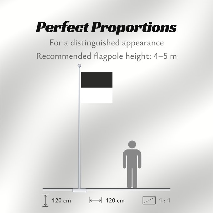 Flag Proportions: Canton of Fribourg Fribourg Kanton Freiburg