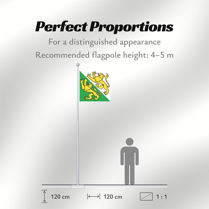 Flag Proportions: Canton of Thurgau Thurgau canton de Thurgovie cantón de Turgovia Canton of Thurgau in Switzerland