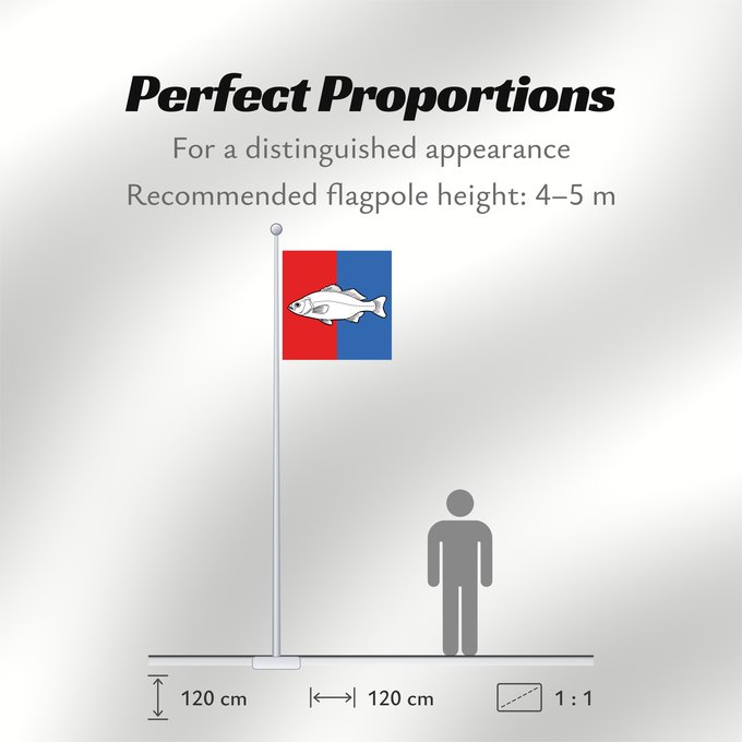 Flag Proportions: CHE Nyon	Swiss city Nyon	Miasta Nyon w Szwajcarii