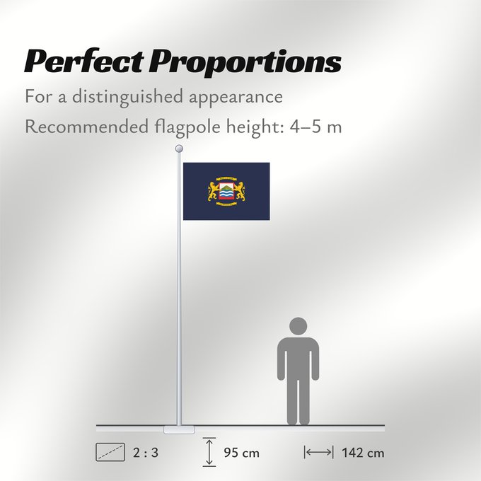 Flag Proportions: Arica	Arica, Chile