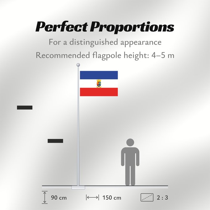 Flag Proportions: Chillán Viejo