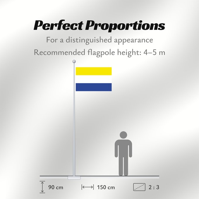 Flag Proportions: Panguipulli Panguipulli, Chile