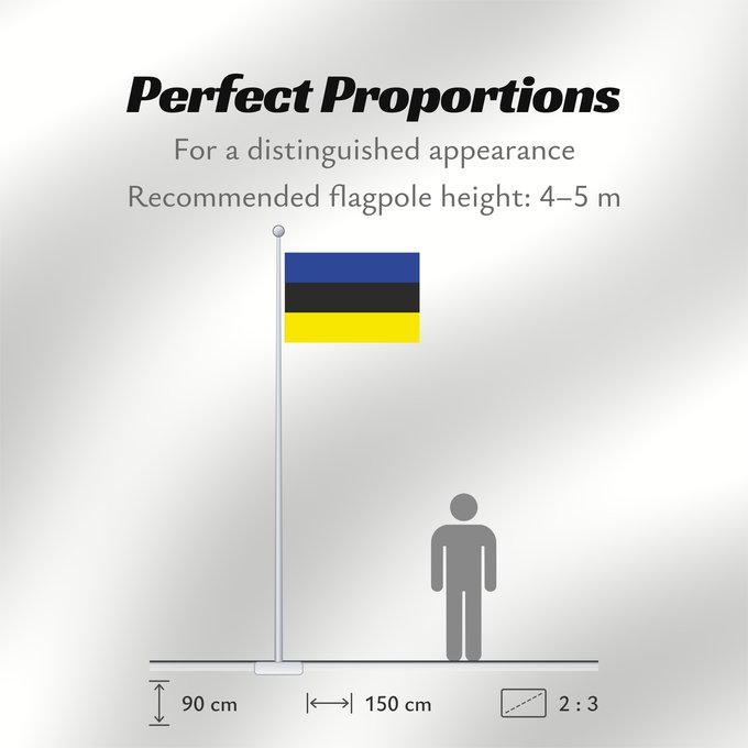 Flag Proportions: Placilla, Chile Placilla
