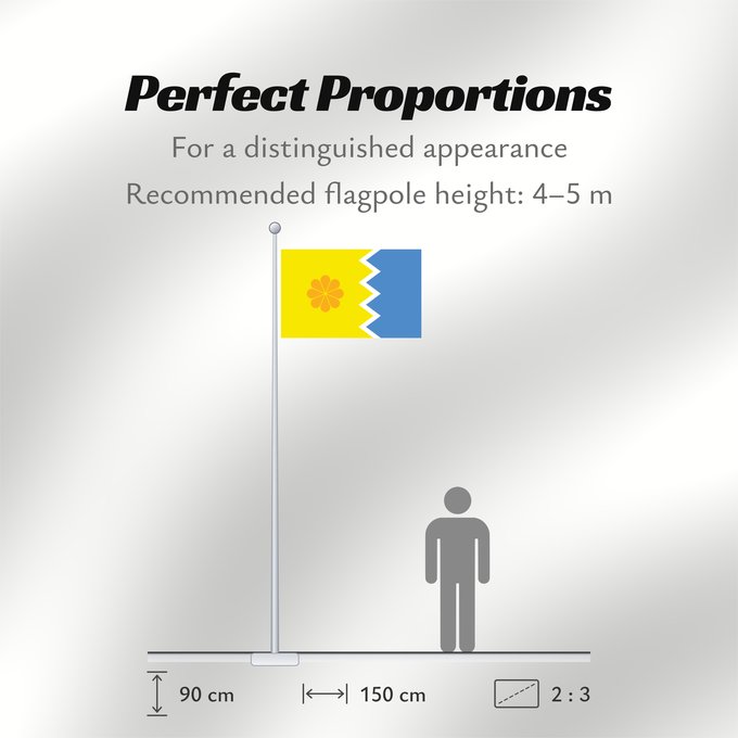 Flag Proportions: Viña del Mar, Chile Viña del Mar