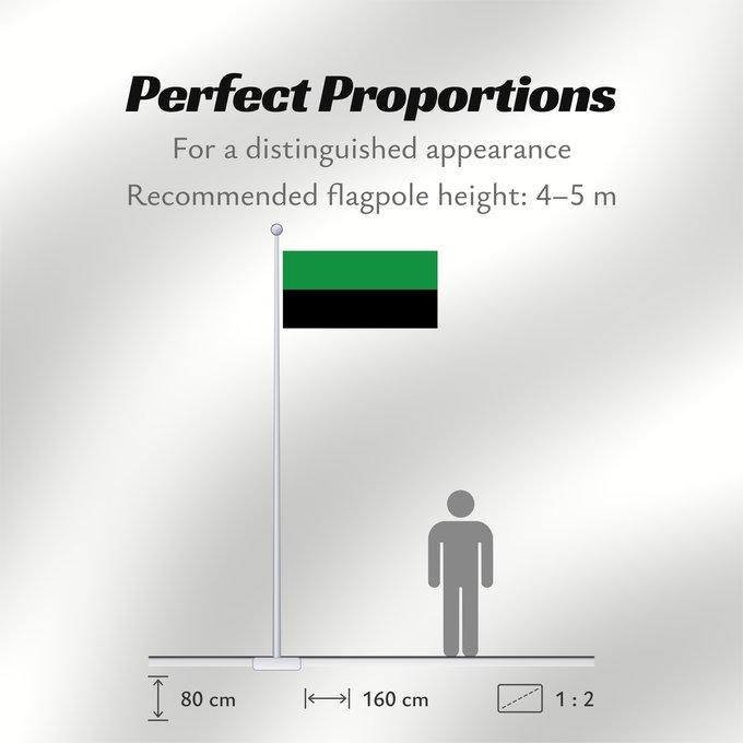 Flag Proportions: Barrancas La Guajira Barrancas (La Guajira) Municipio de Barrancas La Guajira