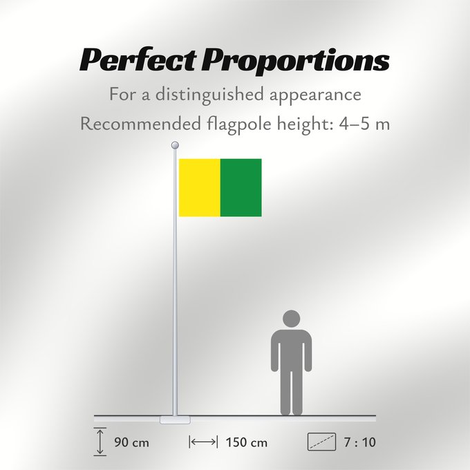 Flag Proportions: Caldas	Caldas, Colombia