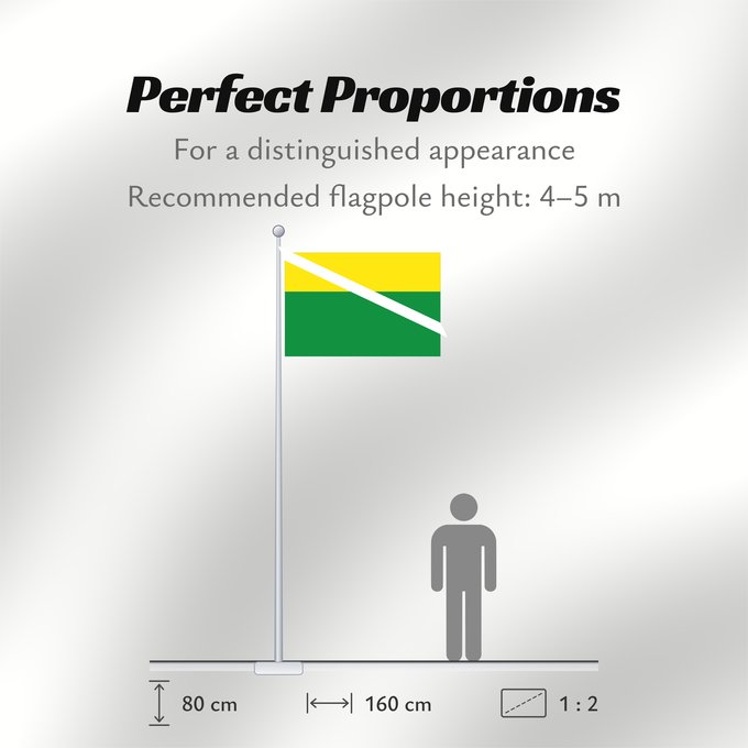 Flag Proportions: Chiriguaná Cesar Chiriguaná (Cesar) Municipio de Chiriguaná Cesar