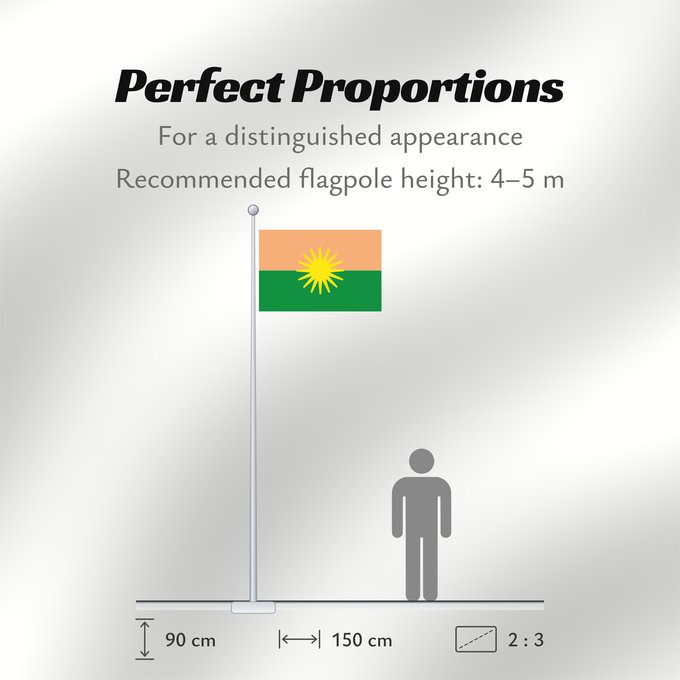 Flag Proportions: El Dorado Meta El Dorado (Meta) Municipio de El Dorado Meta