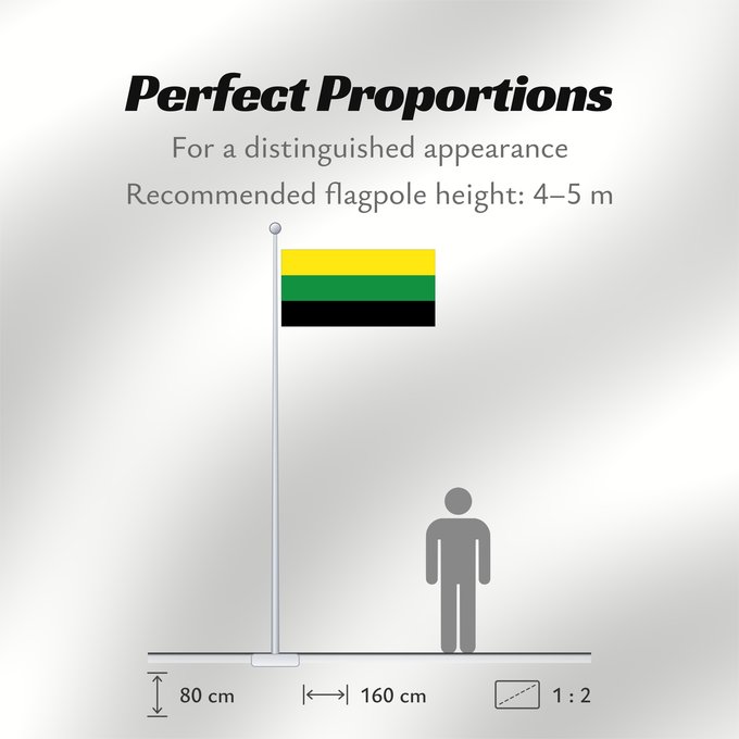 Flag Proportions: Guachetá Cundinamarca Guachetá (Cundinamarca) Municipio de Guachetá Cundinamarca