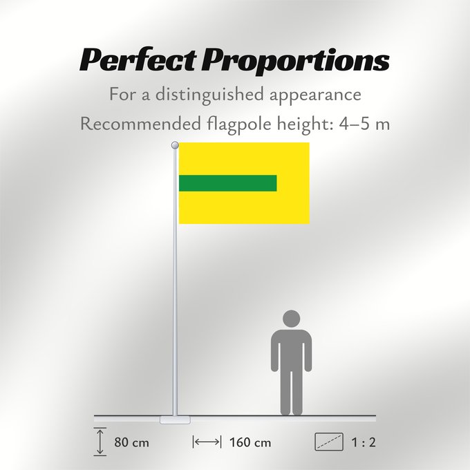 Flag Proportions: La Virginia  Risaralda	La Virginia (Risaralda)	Municipio de La Virginia  Risaralda