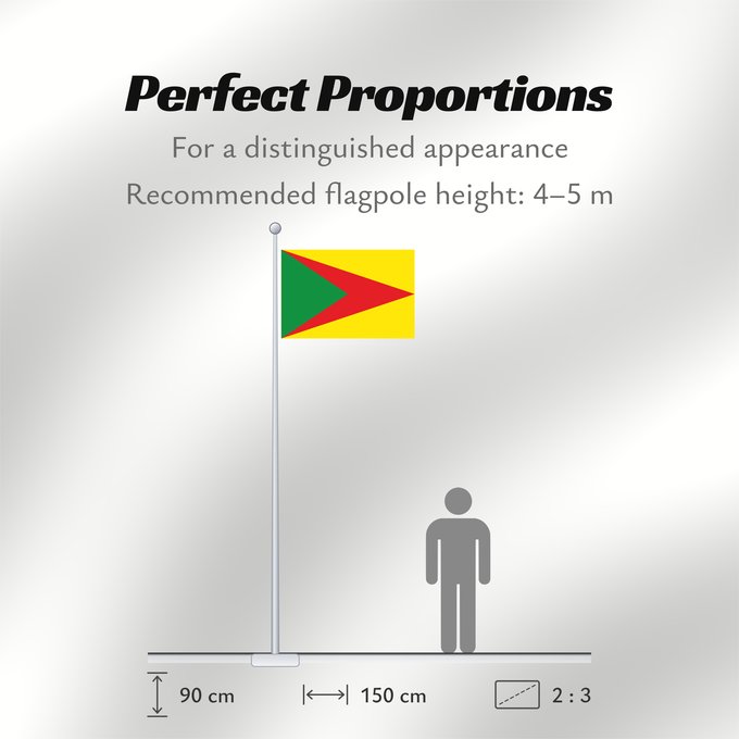 Flag Proportions: Paz de Ariporo Casanare Paz de Ariporo Municipio de Paz de Ariporo Casanare