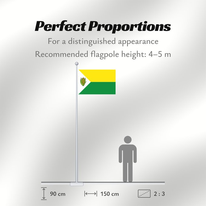 Flag Proportions: Pelaya Cesar Pelaya (Cesar) Municipio de Pelaya Cesar