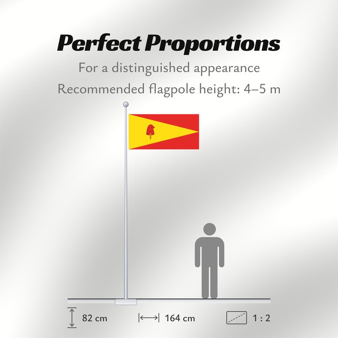 Flag Proportions: Pereira Pereira, Colombia