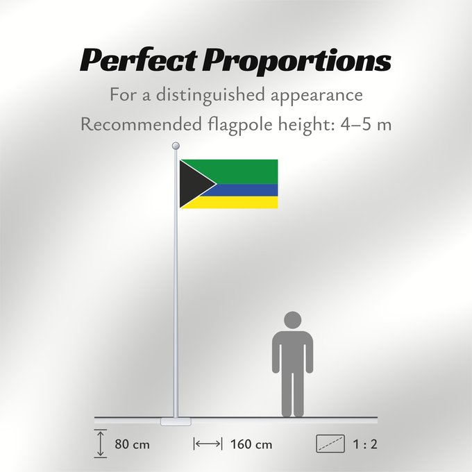 Flag Proportions: Piamonte  Cauca	Piamonte (Cauca)	Municipio de Piamonte  Cauca